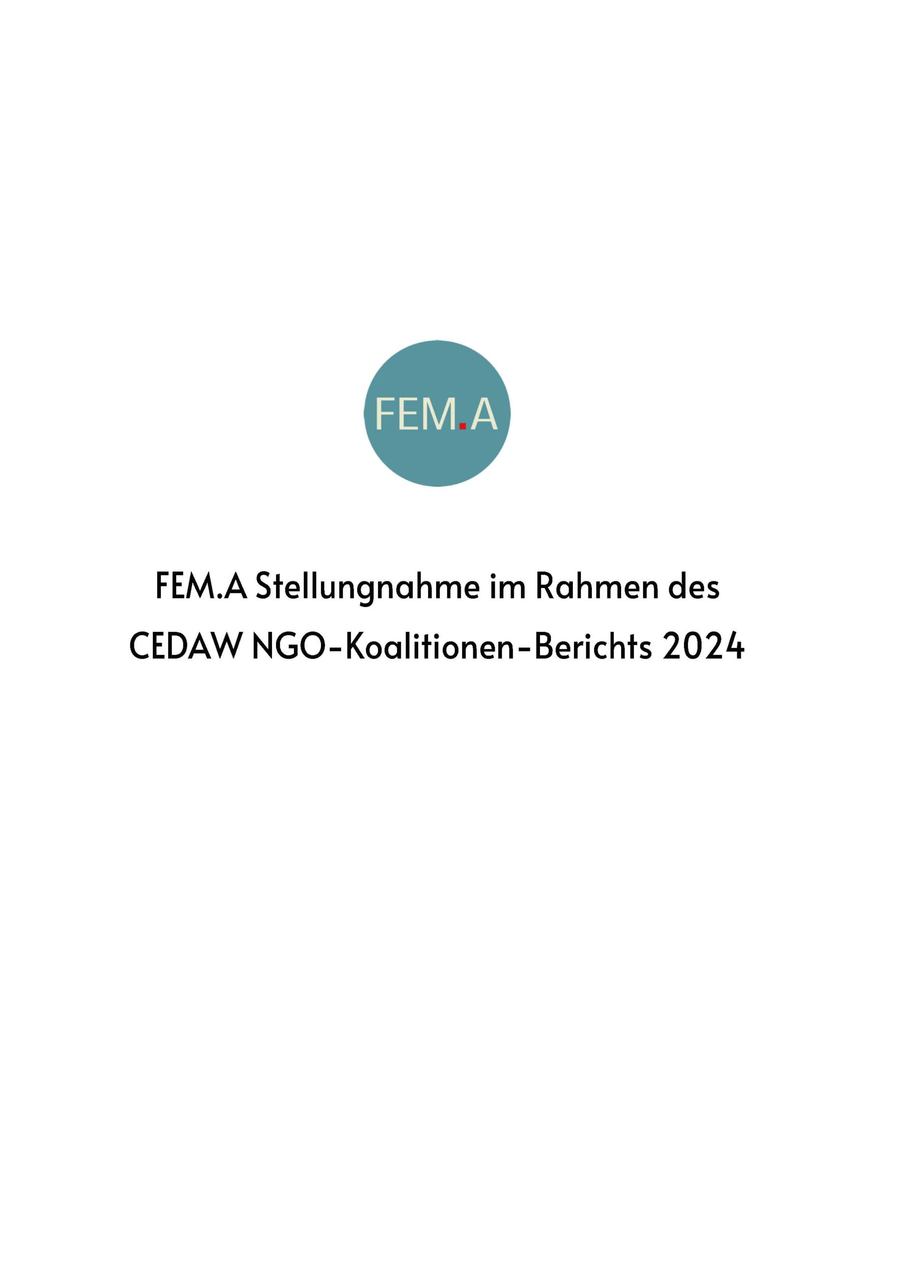 FEM.A Stellungnahme im Rahmen des CEDAW NGO-Koalitionen-Berichts 2024_Seite_1